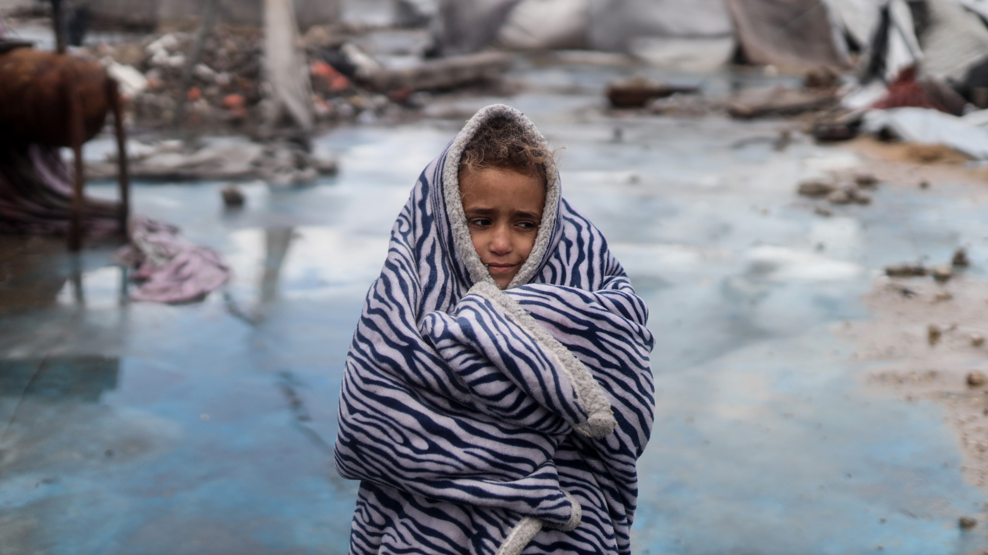 Slow genocide: Death and displacement continue in Gaza months into ceasefire