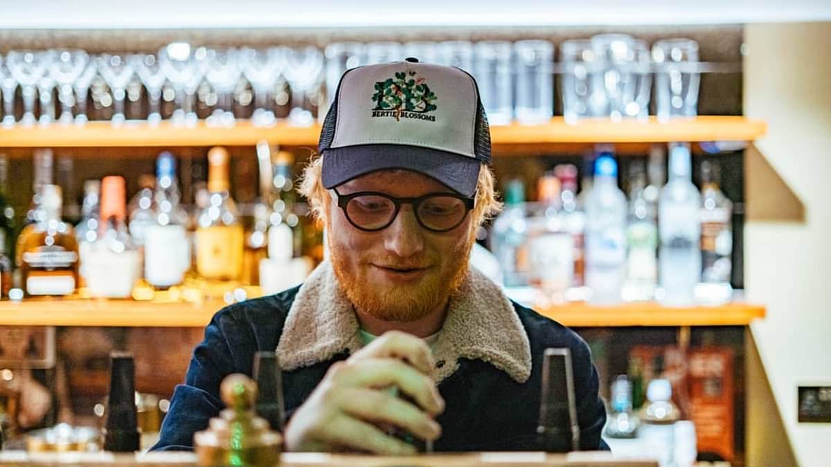 Ed Sheeran’s bar and diner Bertie Blossoms falls victim to Britain’s pub crisis as its debt rises to nearly £1.3million after struggling during Covid