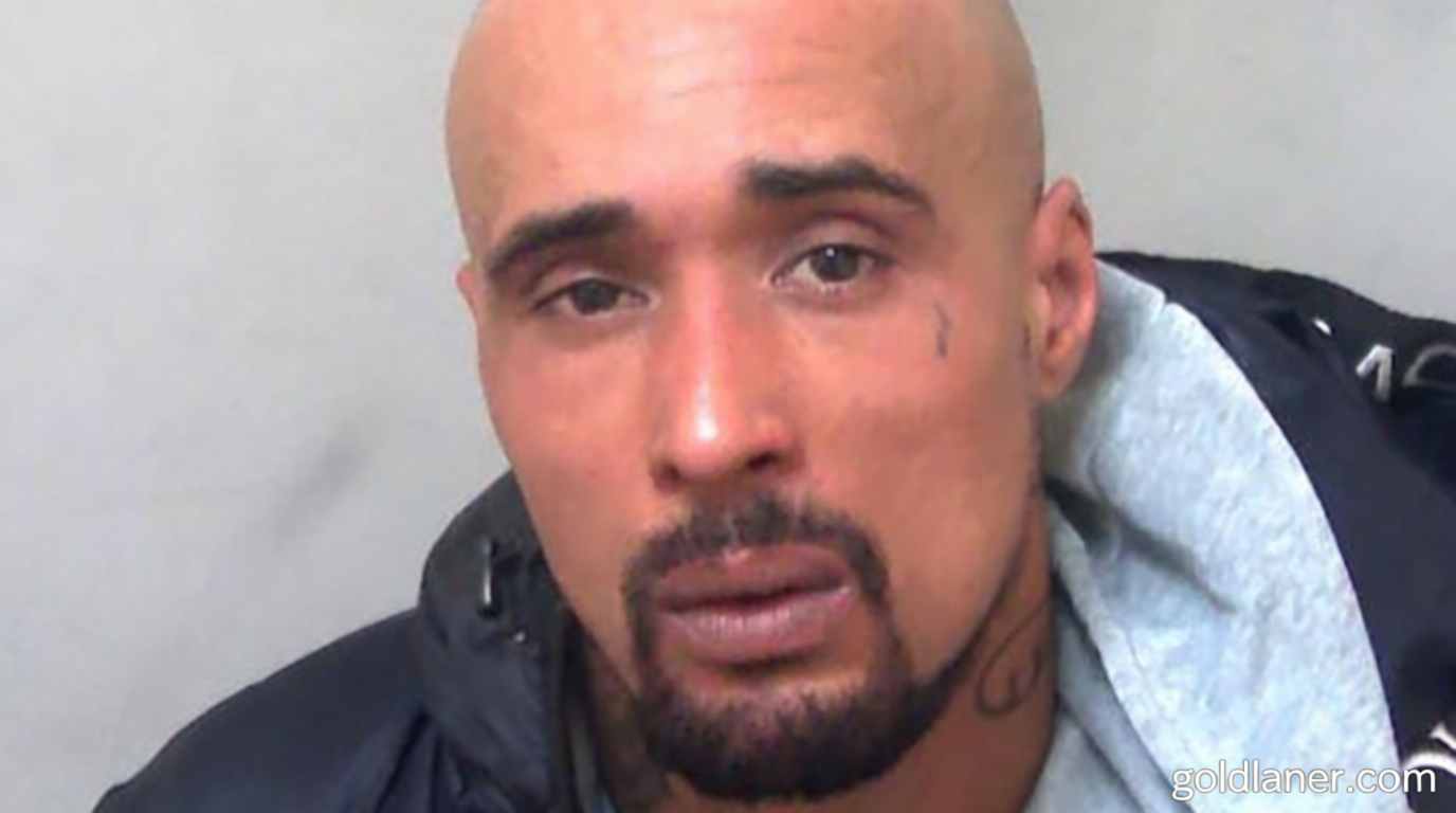 Aspiring rapper jailed for owning XL bully dogs that mauled mother-in-law two days after ban