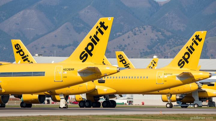 Google is buying all of Spirit Airlines’ data to feed its AI models