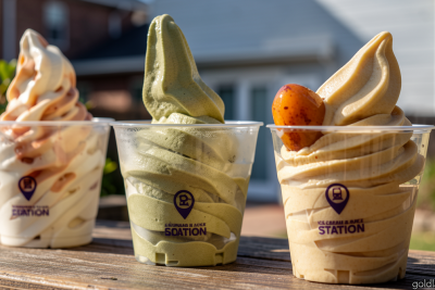 A date to remember: The Abu Dhabi ice cream maker turning palm trees into soft serve